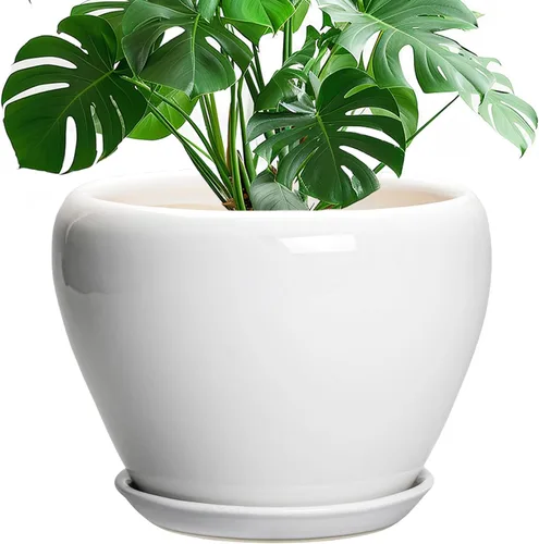 Miniatura 91 de Maceta de Cerámica Moderna con Esmalte para Suculentas con Agujero de Drenaje y Platillo, Maceta Redonda de 6 Pulgadas para Plantas de Flores