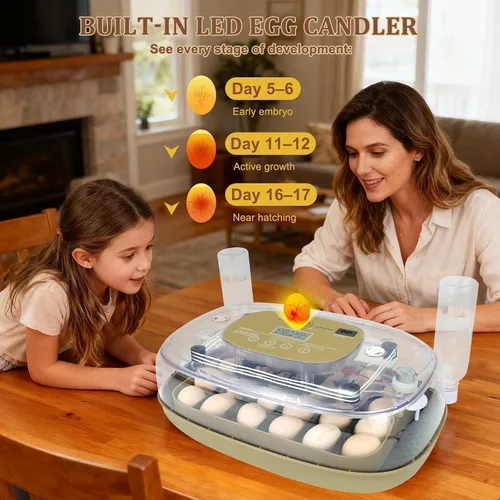 Miniatura 5 de Gen III - Incubadora automática de 24 huevos, humedad adaptativa basada en etapas con recarga automática, control de temperatura estable, espaciado
