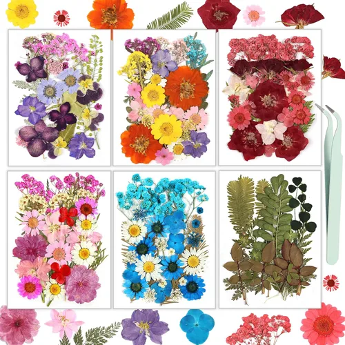 Miniatura 20 de Flores Secas, Resiners 58 Piezas Flores Prensadas para Manualidades Rosa Flores Secas Naturales Reales Kit de Hojas Secas para DIY Hacer