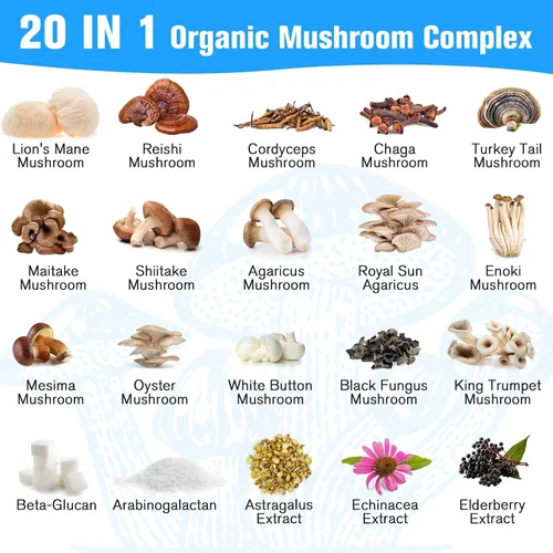 Miniatura 5 de Suplemento de hongos de 2600 mg, complejo de hongos 20 en 1, con melena de león, cordyceps, reishi, cola de pavo, Chaga - Suplementos cerebrales