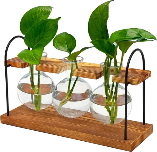 Terrario para plantas con soporte de madera, el mejor regalo para los amantes de las plantas, estación de propagación con bombillas de vidrio retro,