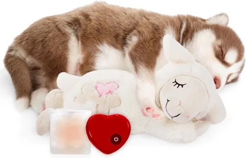 Miniatura 10 de ALL FOR PAWS Juguete de latido del corazón para cachorros para perros, juguetes de alivio de la ansiedad y ayuda para calmar perros, juguete