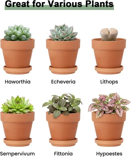 Miniatura 6 de Riseuvo Macetas de terracota de 3 pulgadas con platillo, paquete de 12 macetas de arcilla con drenaje, ideales para plantas, manualidades, recuerdos