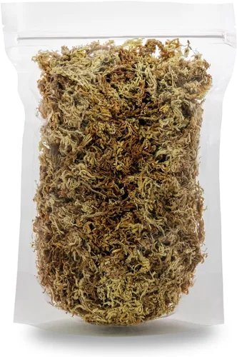 Miniatura 6 de Musgo Sphagnum Premium de Nueva Zelanda por Gardenera - Musgo Sphagnum Orgánico de Fibra Larga Mezclado a Mano para Orquídeas - 4 Cuartos