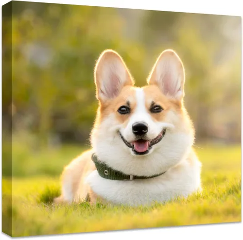 Miniatura 20 de Impresión personalizada de foto a lienzo – Impresiones en lienzo con tus fotos en arte de pared personalizado para dormitorio, sala de estar, boda