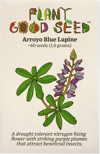 Plant Good Seed Arroyo Blue Lupine Seeds for Planting: California Native Wildflower, Dark Purple Blossoms - Paquete de 60 semillas
