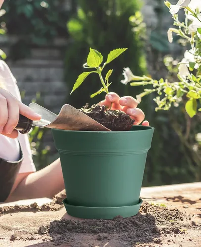 Miniatura 3 de homenote Macetas, paquete de 15 macetas de 6 pulgadas con múltiples agujeros de drenaje y platillos, macetas de plástico para todas las flores