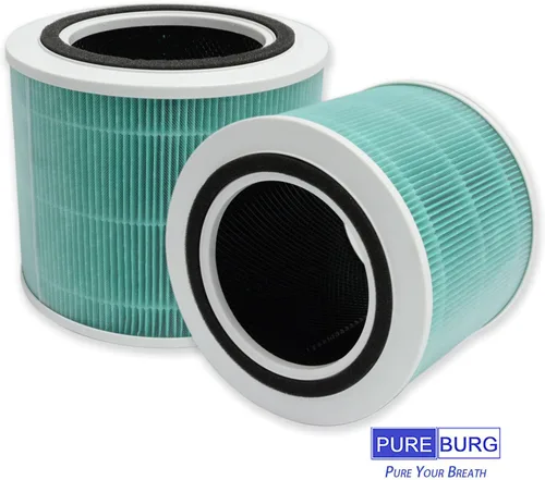 Miniatura 5 de PUREBURG Filtros de repuesto compatibles con TOPPIN Comfy Air Bridge 2 TPAP003 purificador de aire, 2 unidades H13 HEPA de carbón activado