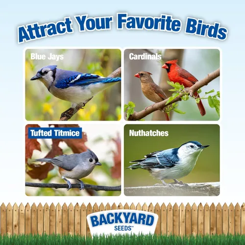 Miniatura 4 de Backyard Seeds - Mezcla de semillas de aves silvestres, 5 libras, mezcla premium sin residuos con chips de girasol, cacahuetes sin cáscara y mijo