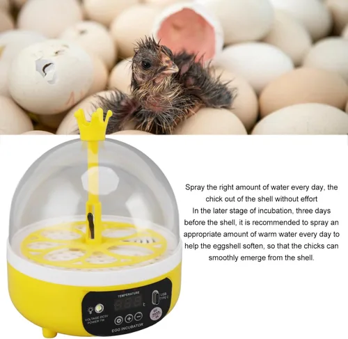 Miniatura 7 de Yosoo Incubadora de pollo, mini incubadora de huevos para incubar 4 huevos, criador de huevos portátil para pollo, pato, ganso, con ventana
