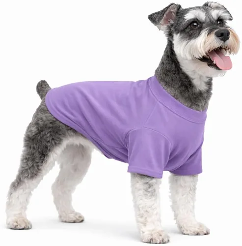 Lovelonglong 2019 Ropa para mascotas, disfraces para perros, camiseta básica lisa, camisetas para perros pequeños, color violeta, talla L