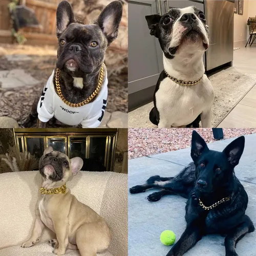 Miniatura 5 de Collares para perros de acero inoxidable plateado dorado con cierre de seguridad, collar de cadena tipo cubano de 18K para entrenamiento, collar Oro