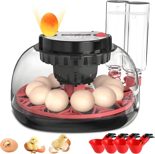 Incubadora de huevos 12-24 con giro automático de huevos y control de humedad, recarga de agua, vela de huevos, incubadoras para incubar pollo,