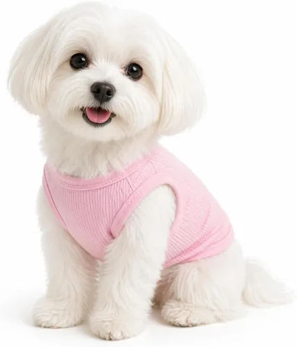 Miniatura 43 de Lovelonglong Ropa para mascotas de verano 2019, ropa para perro, camisetas en blanco, camisetas acanaladas, chalecos de hilo superior para perros