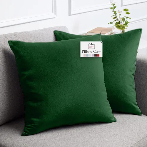 Miniatura 31 de lalaLOOM Juego de 2 fundas de almohada lujosas de terciopelo sedoso, 18 x 18 pulgadas, fundas de almohada decorativas más suaves, cremallera oculta