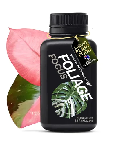 Miniatura 22 de Growth Technology GT Flower Focus alimento líquido para plantas en maceta y jardines al aire libre – Apoya la floración, follaje saludable, plantas