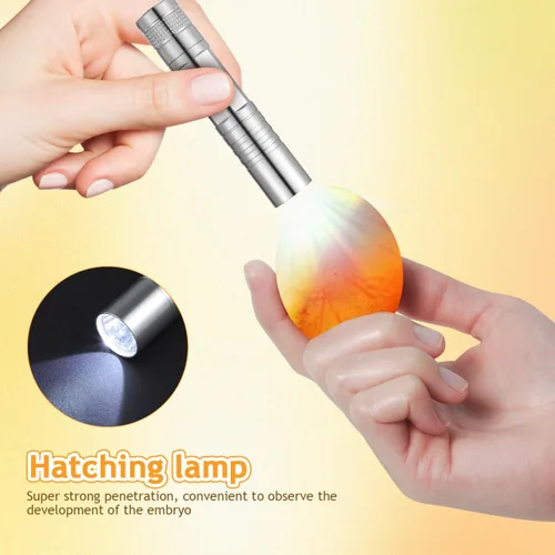 Miniatura 7 de TOYANDONA Incubadora de 5 huevos con control automático de temperatura y humedad - Incubadora pequeña para aves con ventilación de aire y ovoscopio