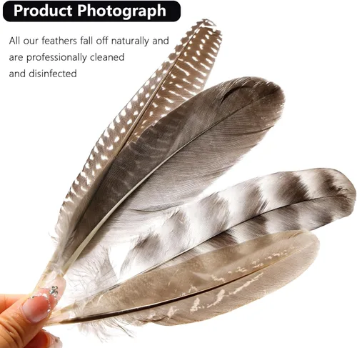 Miniatura 3 de THARAHT 24 plumas naturales manchadas de 4 estilos de plumas de ave de Guinea de 6 a 8 pulgadas a granel para manualidades, ropa, joyería