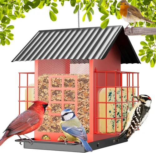 Miniatura 10 de FlowaFoli Comederos para pájaros para colgar al aire libre, comedero de metal para pájaros con doble jaula de sebo para pasteles, gran capacidad