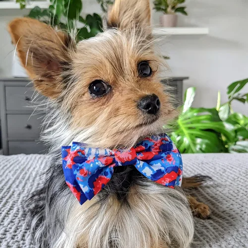Miniatura 5 de Huxley & Kent Pajarita para mascotas para perros y gatos – 4 de julio ajustable con gancho y lazo accesorio – Lindo y cómodo para vacaciones