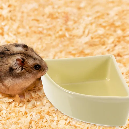 Miniatura 6 de iplusmile Cuenco de comida de cerámica para hámster, 3.03 x 3.03 x 1.37 pulgadas, comedero de agua para mascotas, fácil de limpiar, diseño sin