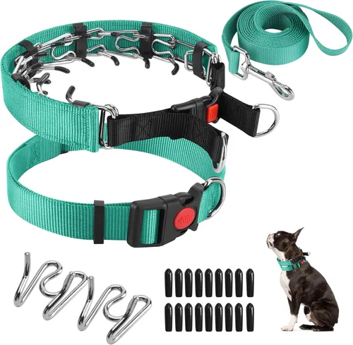 Miniatura 29 de Collar de entrenamiento de puntas con puntas cómodas y hebilla de cierre rápido – Collar de pellizco para perro con cubierta de nailon