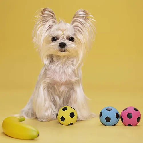 Miniatura 6 de Pelota chirriante para perros, juguetes chirriantes de goma de látex suave para perros pequeños, cachorros, lindos juguetes chirriantes para jugar a