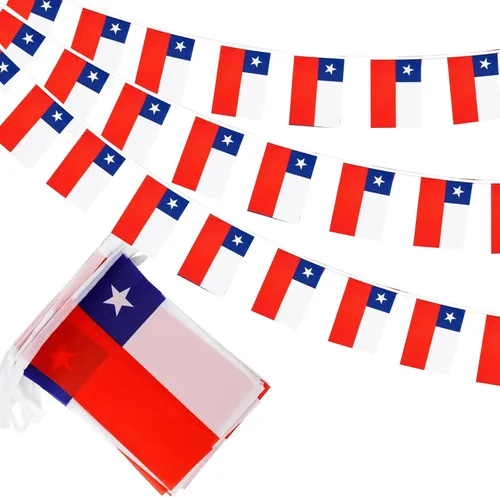 Miniatura 20 de Banderas de cuerda de 100 países, banderines internacionales, banderas del mundo para bares olímpicos, clubes deportivos, decoraciones escolares