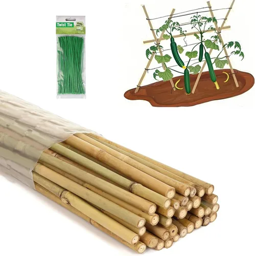 Miniatura 8 de Estacas de bambú de 4 pies con 100 bridas giratorias, estacas de jardín de bambú natural para tomates, pepino, uvas, judías, árboles, flores