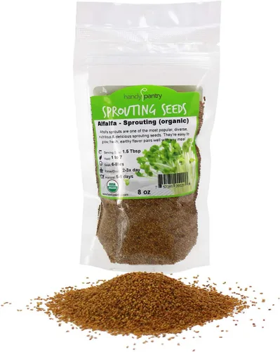Semilla de brote de alfalfa orgánico certificado – marca Handy Pantry – semillas de alta germinación comestibles - jardinería, cultivos