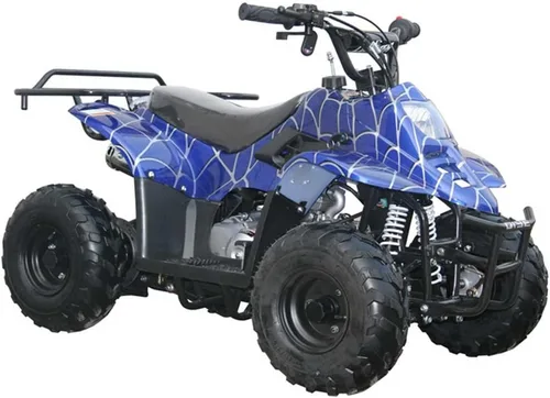Miniatura 3 de ATV juvenil