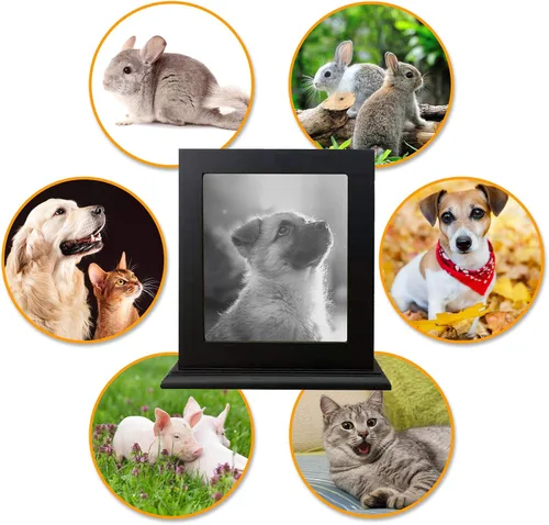 Miniatura 5 de Urna conmemorativa de madera para cenizas, marco de fotos, caja de recuerdo para gatos y perros, suministros de ataúdes funerarios, urnas
