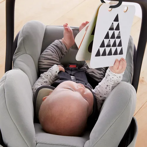 Miniatura 6 de Baby Einstein Flip para Arte Espejo de Actividad de Piso de Alto Contraste con Tarjetas para Llevar, Juego de Tiempo de Barriga, Recién Nacido+