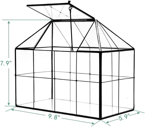 Miniatura 6 de Maceta grande de vidrio para casa de terrario – Invernadero de vidrio para plantas suculentas con tapa 9.8 x 7.9 x 5.9 pulgadas NA