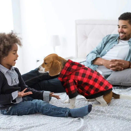 Miniatura 6 de Sudadera con capucha a cuadros para perros extra pequeños, gatos, cachorros, abrigo cálido y suave (XS)