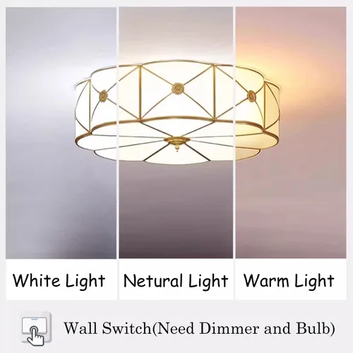 Miniatura 8 de Lámpara de techo empotrada de latón de mediados de siglo, lámpara de techo LED de latón y vidrio de 6 luces, pantalla de vidrio esmerilado, luz Flor