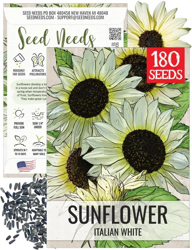 Seed Needs Semillas de girasol para plantar girasoles blancos italianos, semillas de flores de polinización abierta para plantar plantas con flores
