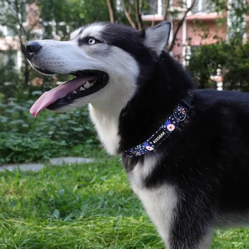 Miniatura 3 de Collar de perro para perros pequeños – Diseño especial lindo collar para perro hembra, suave, ajustable, elegante, floral, perrita S, flor de piña