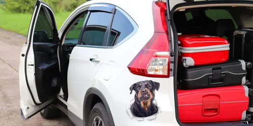 Miniatura 5 de Winston & Bear Calcomanías divertidas de pared para perros Rottweiler, paquete de 2, calcomanías 3D Rottie para paredes, automóviles, inodoro y más