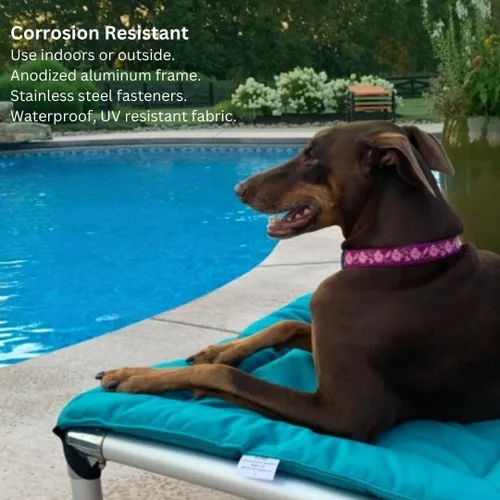 Miniatura 8 de Kuranda Cama elevada para perros a prueba de mordeduras - Aluminio plateado - 30" x 20" - Cordura Nylon - Borgoña