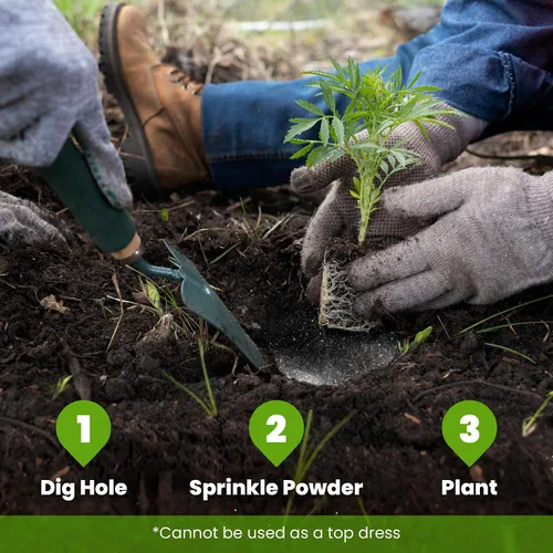 Miniatura 7 de Big Foot Polvo soluble en agua probiótico para plantas establecidas y trasplantes – Cultiva el tamaño de la raíz, aumenta el nitrógeno, cultiva