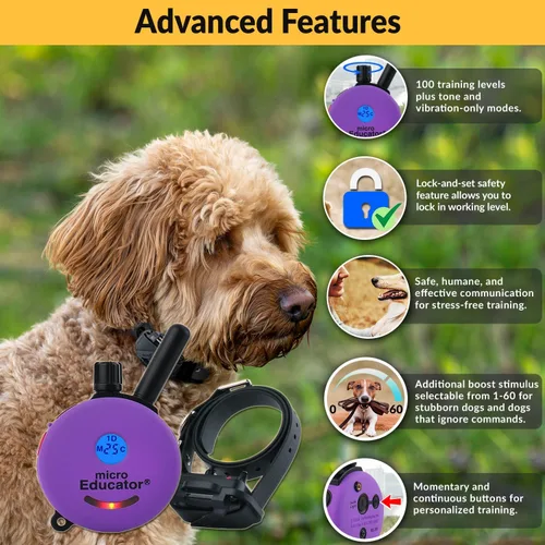 Miniatura 2 de Collar de entrenamiento humano para perros Educator E-Collar con control remoto, 100 niveles seguros de estimulación por toque, luz nocturna, Púrpura
