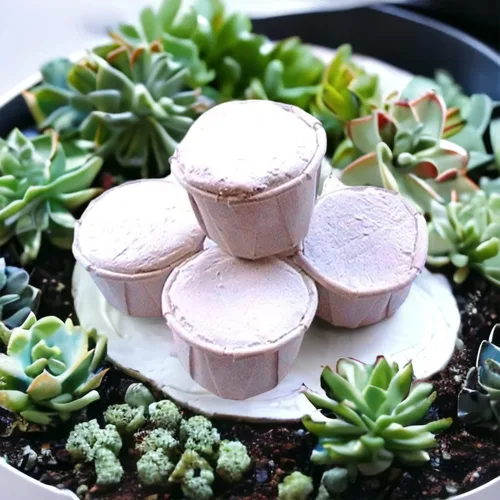 Miniatura 6 de Cascarilla - Efun - Polvo de cáscara de huevo blanco ~ Paquete de 5