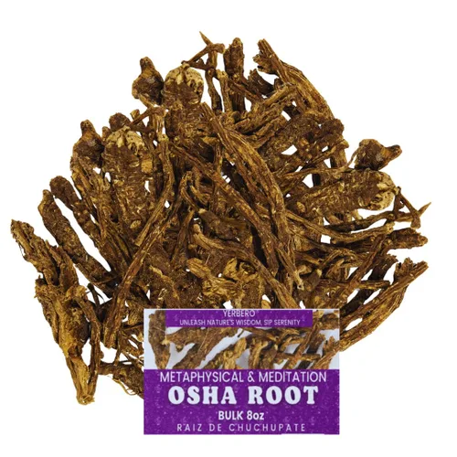 Miniatura 8 de Yerbero - Raíz de Osha 3.5 oz (100 g) Raiz de Chuchupate Ligusticum porteri Zanahoria de montaña, raíz de oso 100% natural Purificación