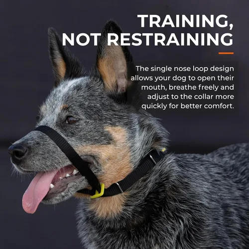 Miniatura 5 de Canny Gentle - Collar de cabeza de entrenamiento para perros sin tirones, color negro, talla 4 Kind, safe, comfortable & gentle, trains your dog