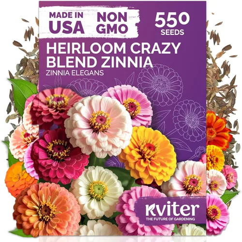 Miniatura 11 de KVITER 500 semillas de caléndula Cracker Jack (Tagetes Erecta) – Caléndula africana, flor gigante, semillas de reliquia sin OMG – Semillas de flores