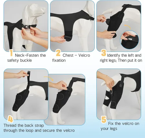 Miniatura 6 de Rodilleras para perro para pierna trasera, soporte ajustable para piernas con 2 estabilizadores, soporte de cadera para reducir el dolor, lesiones