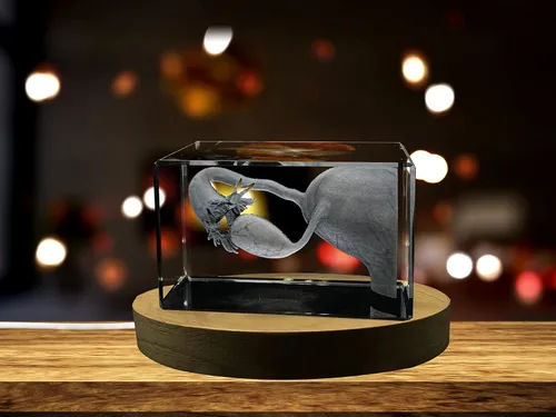 Miniatura 23 de Regalo para médicos 3D grabado en cristal recuerdo/regalo/decoración/(pequeño (3 x 2 x 2 pulgadas), arterias)