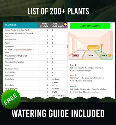 Miniatura 5 de GROWIT - Monitor de agua de suelo para plantas, medidor de humedad del suelo, hidrómetro para plantas, medidor de humedad de plantas de interior, 3.
