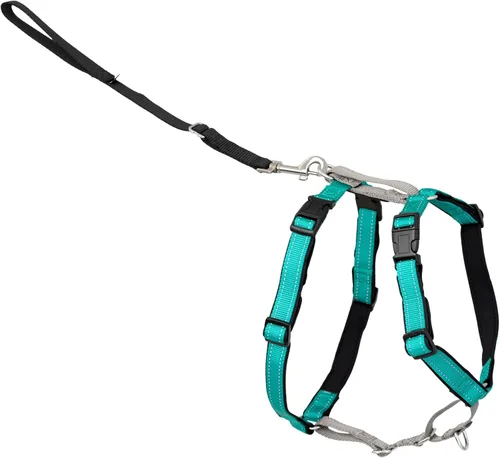 PetSafe Arnés 3 en 1 – Cómodo arnés de pecho para perro fácil de caminar con accesorio de correa frontal para reducir tirones, asfixia y arcadas –
